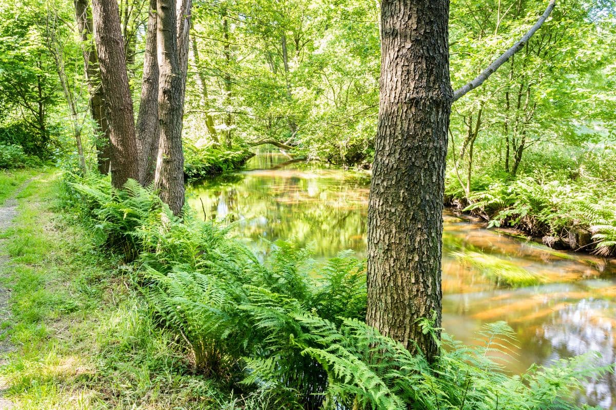 Fluss-Wald-Erlebnispfad entlang der Örtze