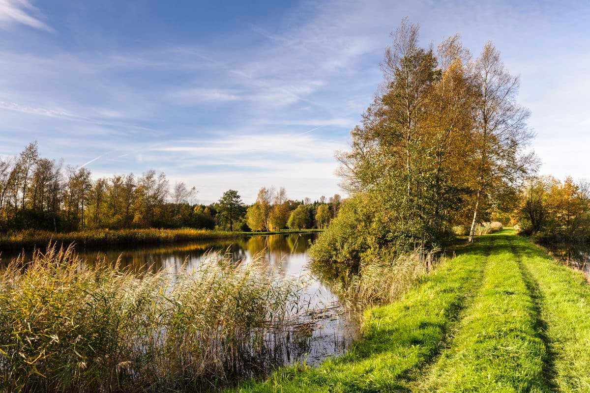 An den Aschauteichen bei Eschede