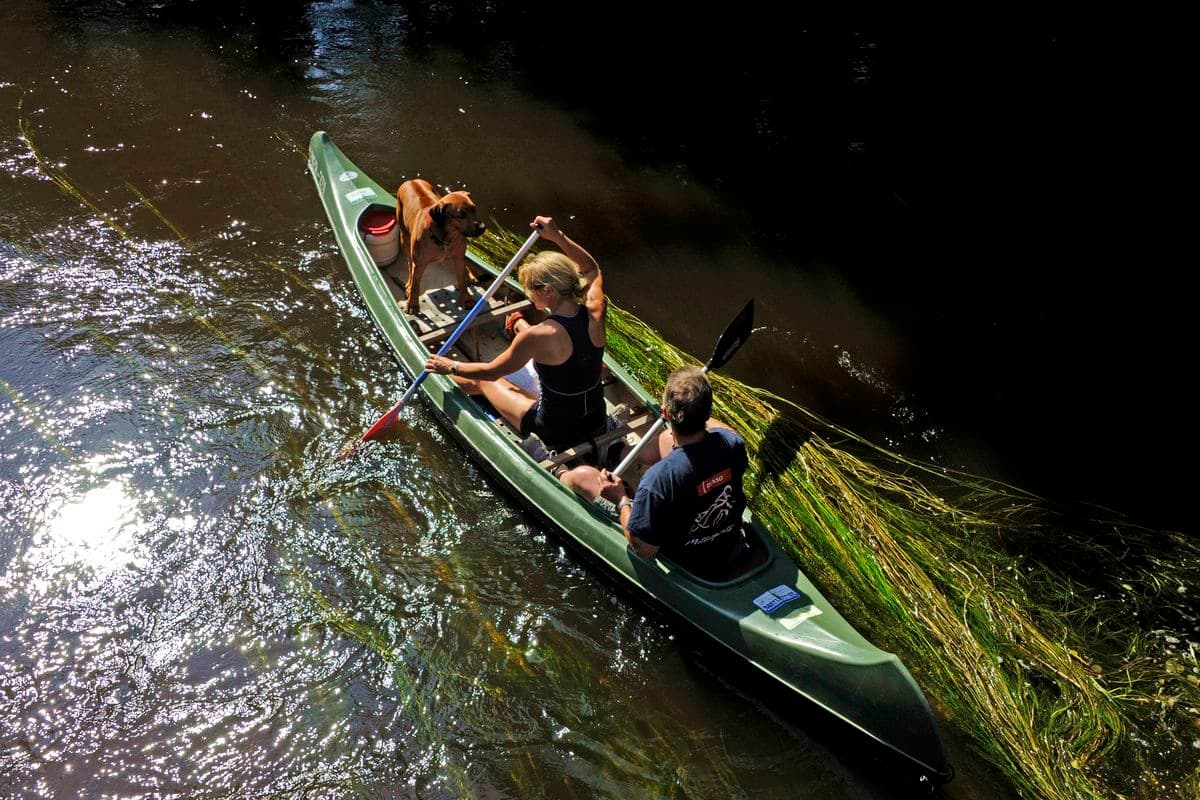 Wasserwandern auf der Örtze