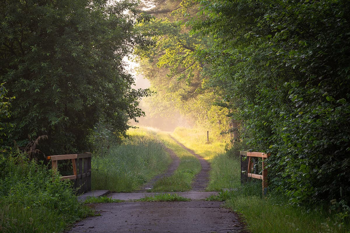 Lutter-Radweg bei Endeholz