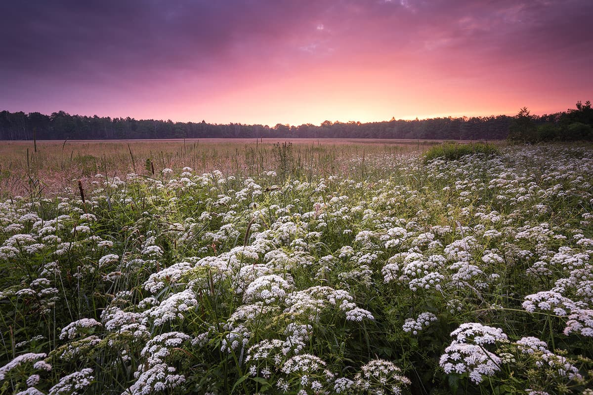 Sonnenaufgang am Lutter-Radweg