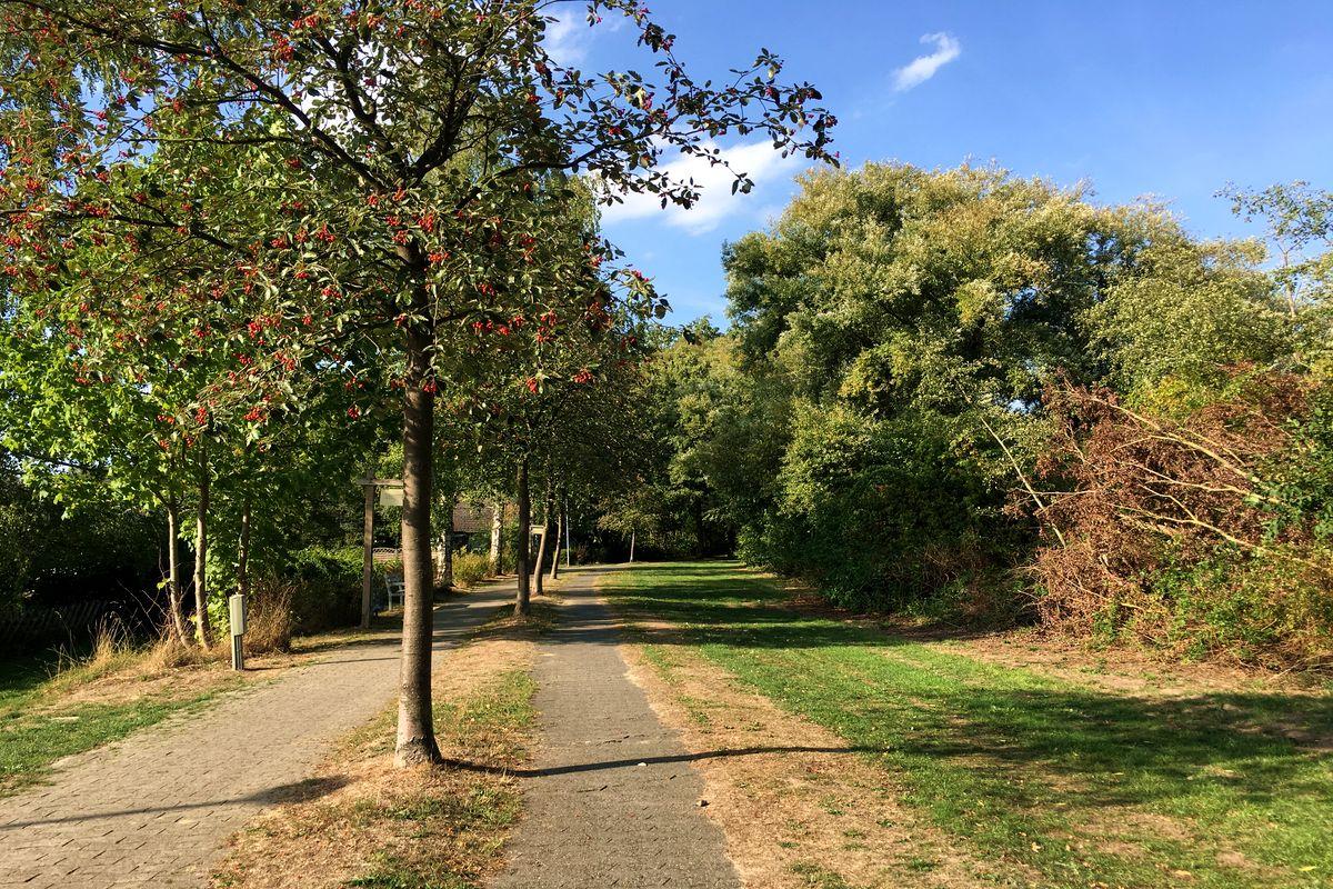 Im Örtzepark in Hermannsburg