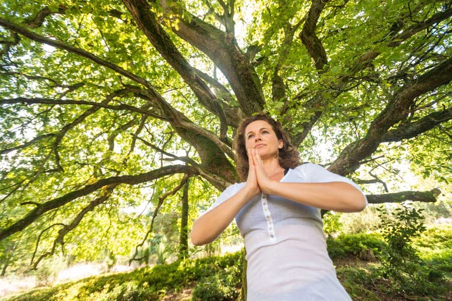 Yoga im Wald