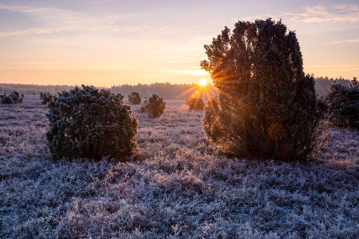 Sonnenaufgang im Winter der kalten Lüneburger Heide bei Fassberg