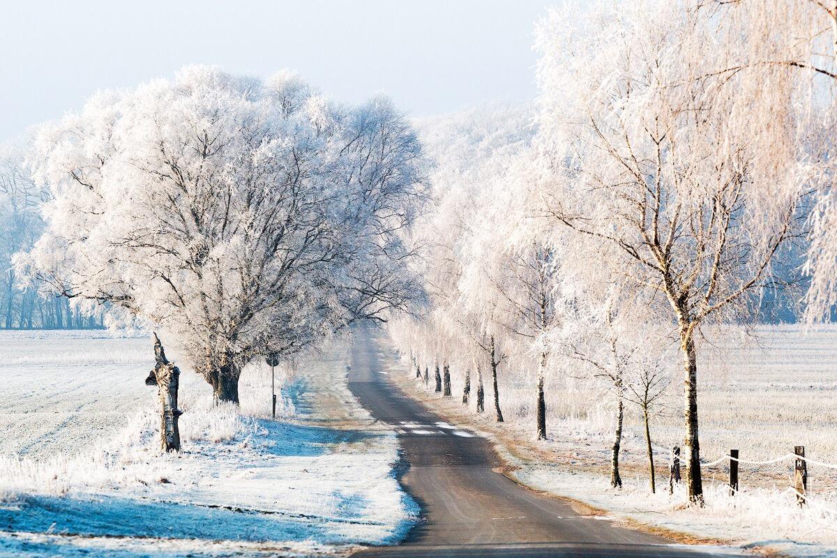 Eisige Luft in der Lüneburger Heide mit tollen Bildern 