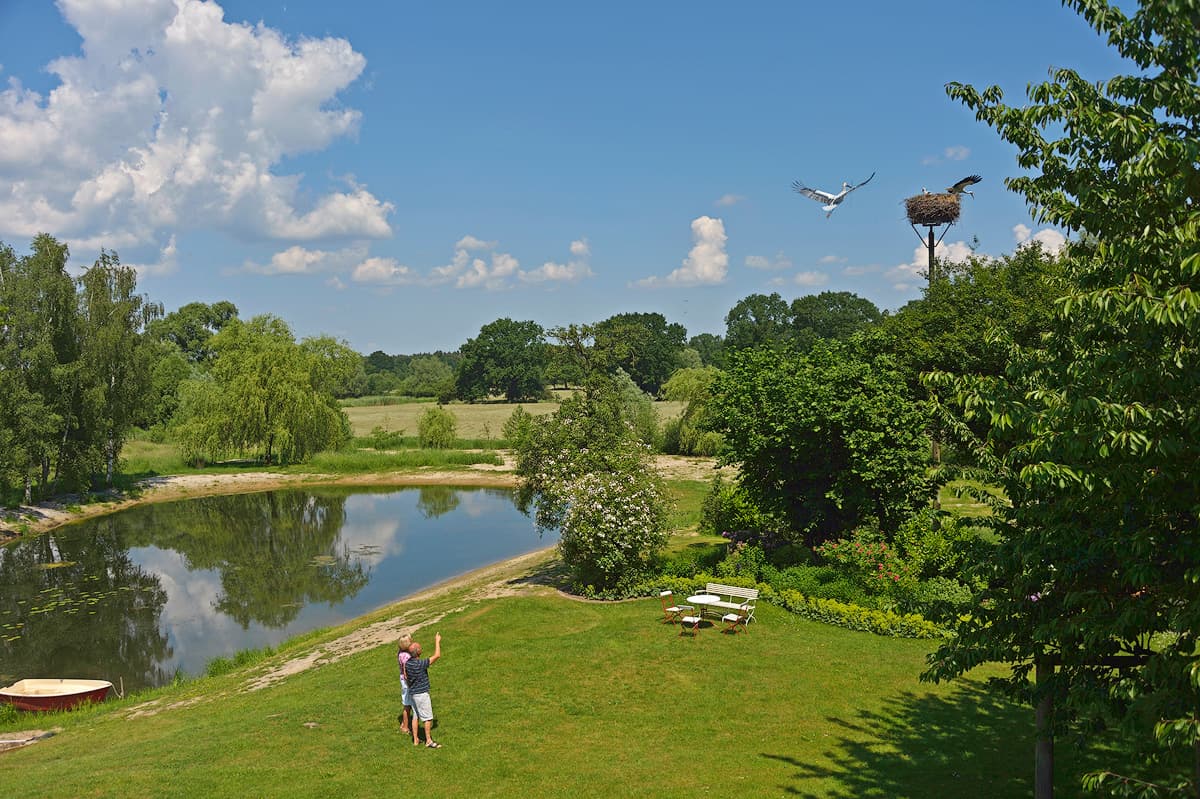 Störche in der Südheide