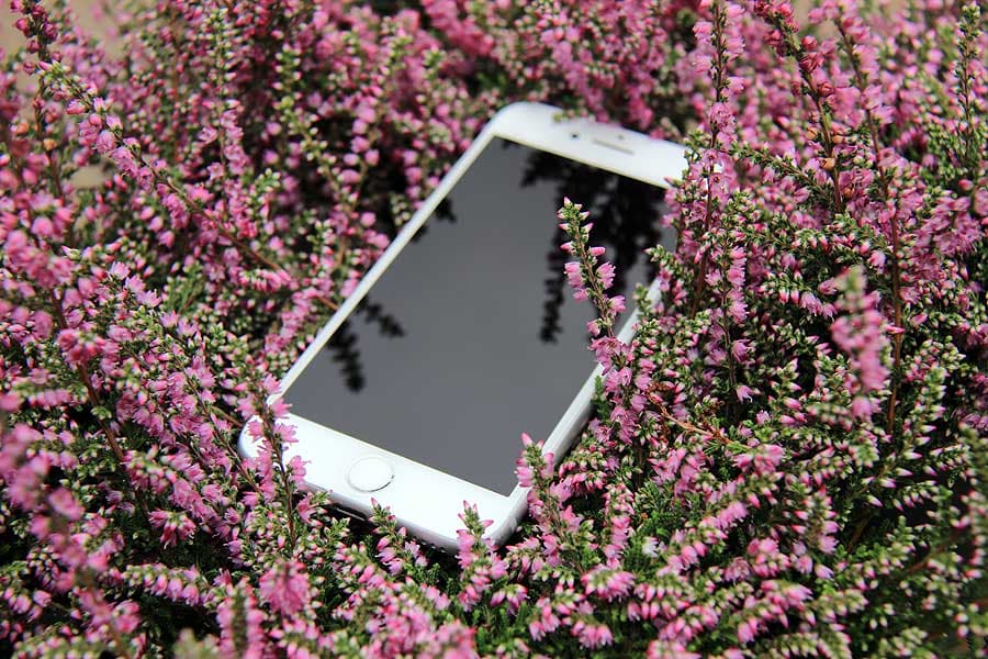 profi fotos mit smartphone, tolle Bilder mit dem Handy schiessen