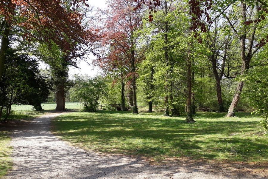 Einer von vielen Wege durch den Klosterpark