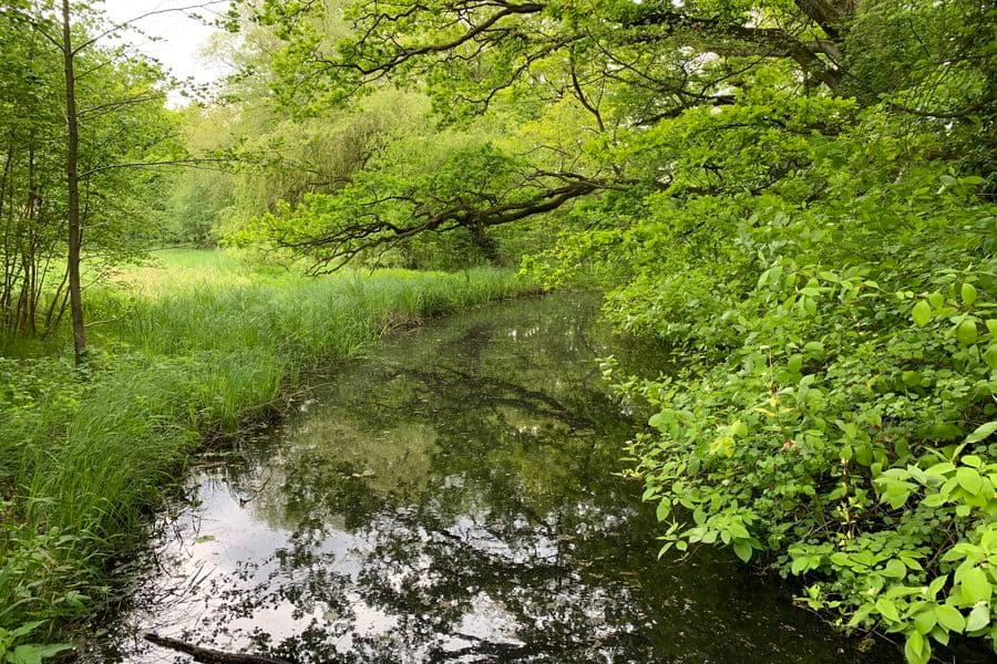 Der Klosterpark im Frühling