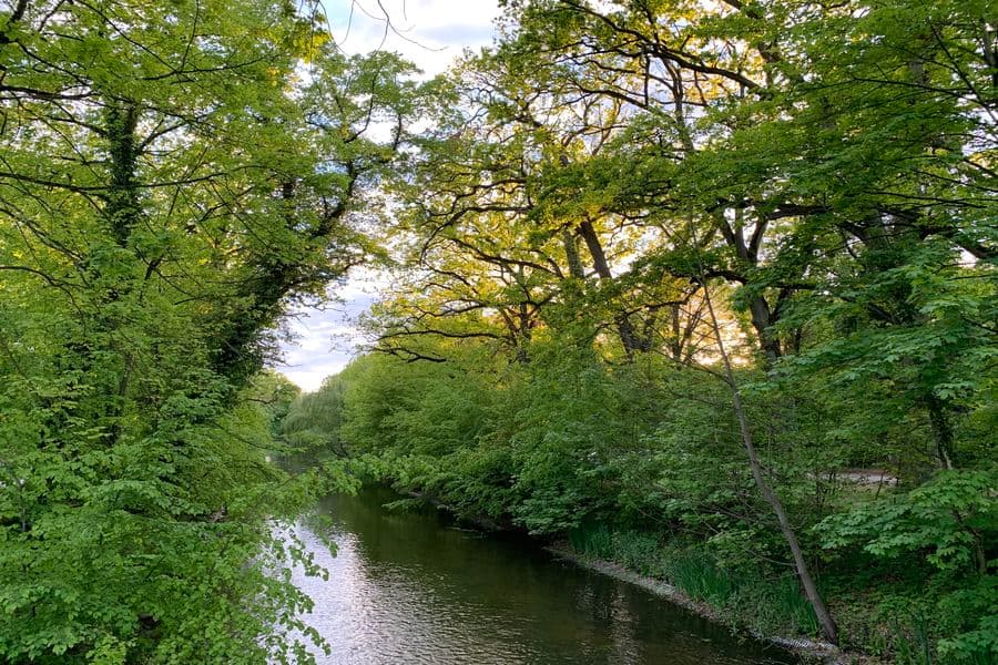 Frühling im Klosterpark