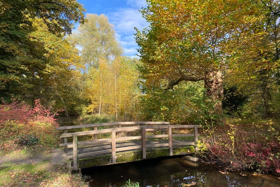 Indian summer im Klosterpark Wienhausen