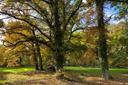 Goldener Herbst in Wienhausen im Klosterpark
