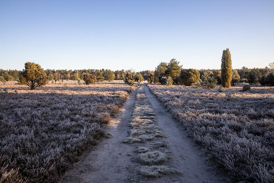 Frostige Wanderwege durch die Südheide