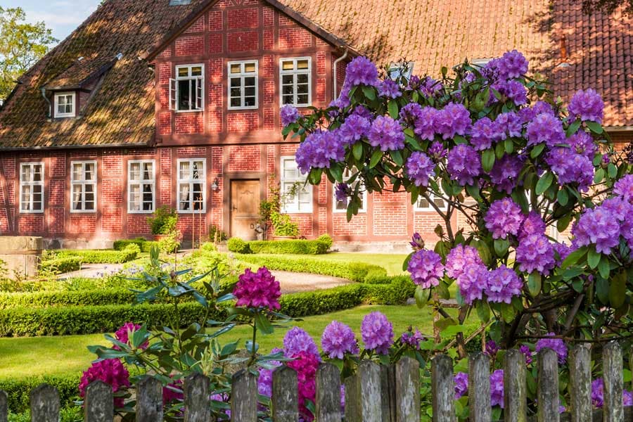 Frühling in der Lüneburger Heide