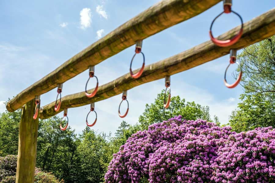 Frühling in der Lüneburger Heide