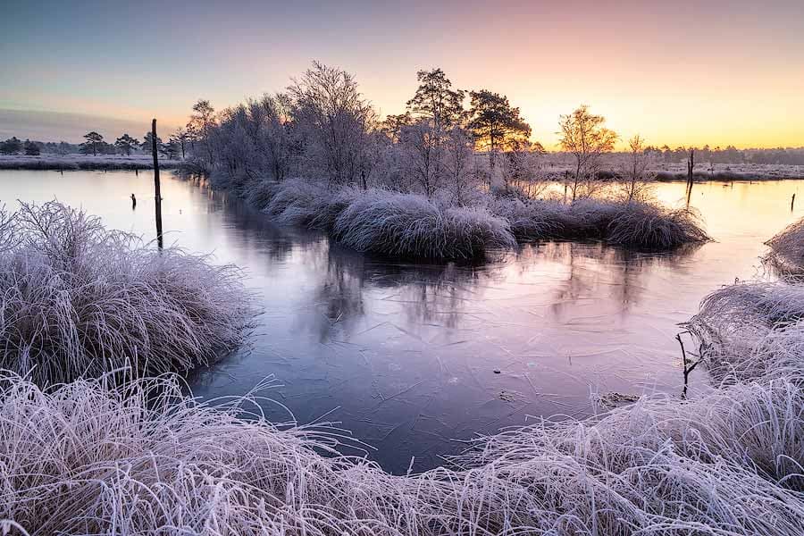 Pietzmoor im Winter