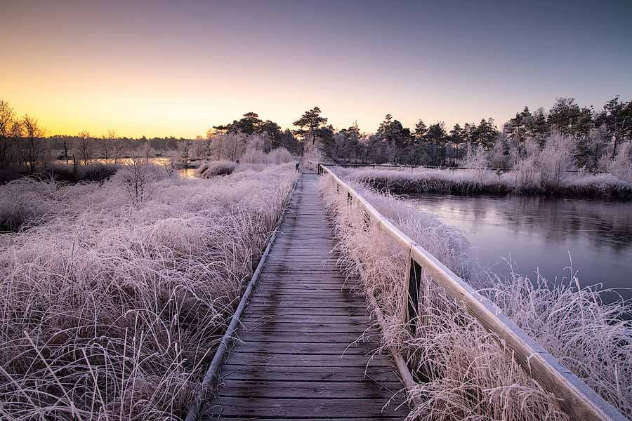Bohlensteg im Pietzmoor Rundweg Winter Schneverdingen Lüneburger Heide