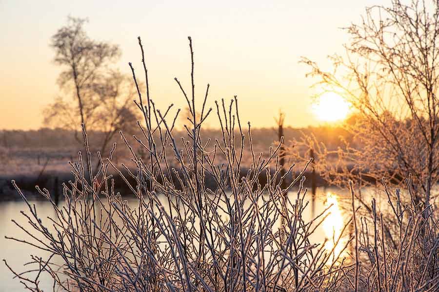 Sonnenaufgang in Schneverdingen Pietzmoor im kalten Winter Lüneburger Heide