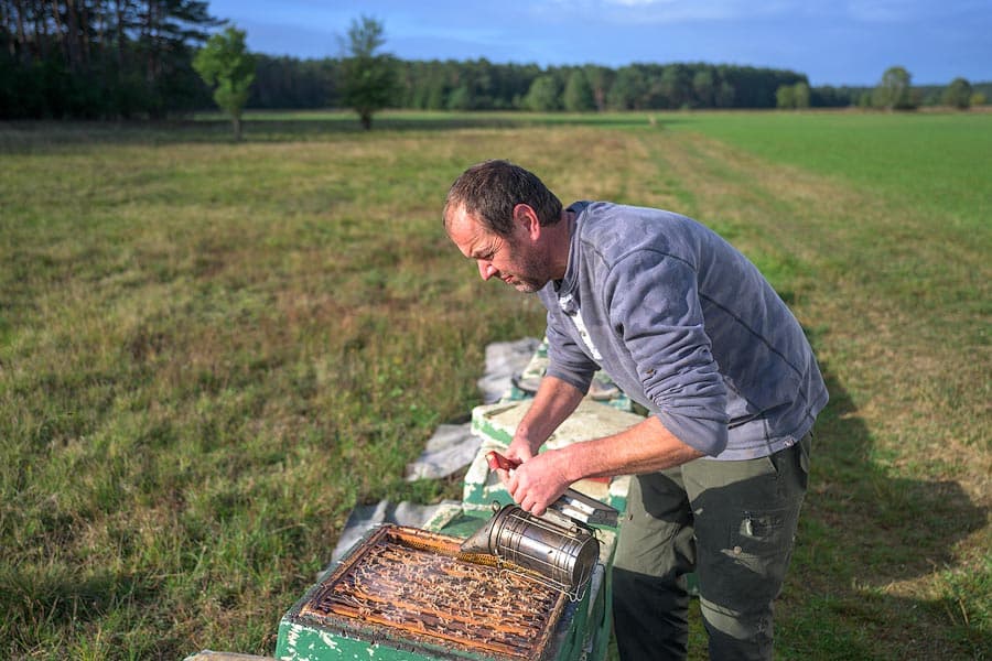 Der Heide Imker Klaus Ahrens bei der Kontrolle seiner Bienenstöcke