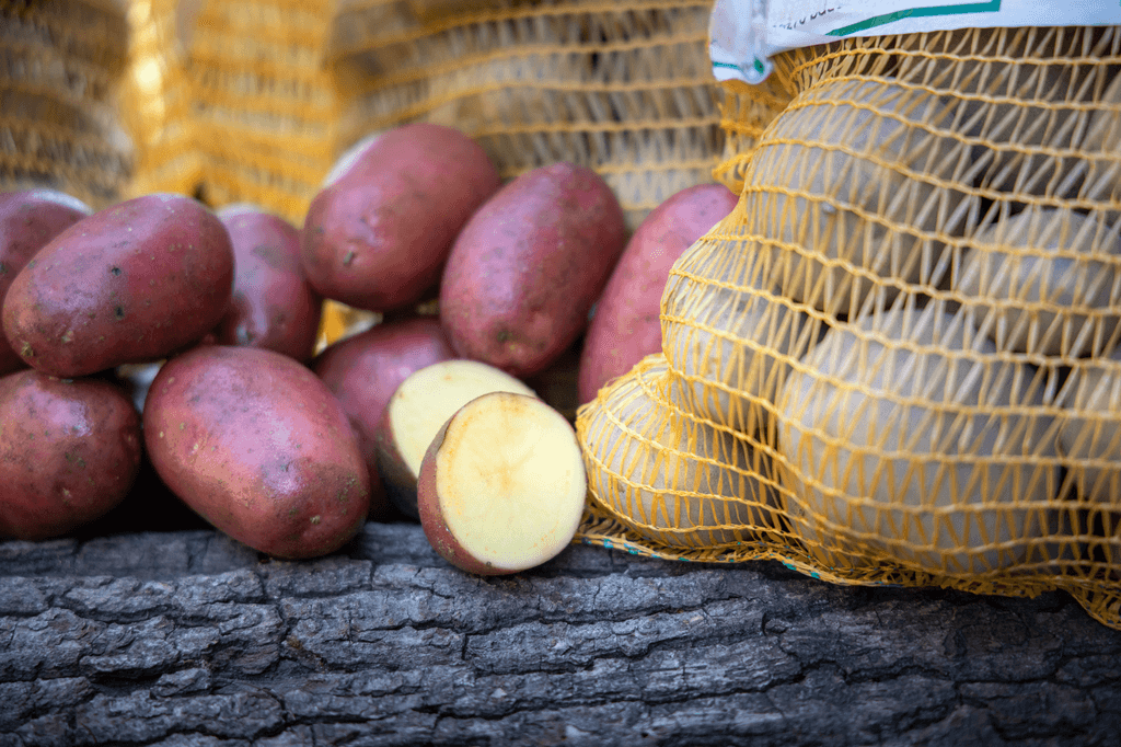 Heidekartoffel Slow Food