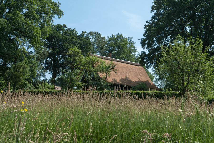 Ferienhaus am Wald