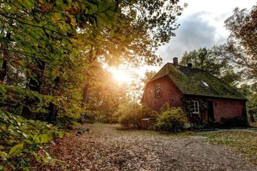 Ferienhaus Forsthaus im Wald