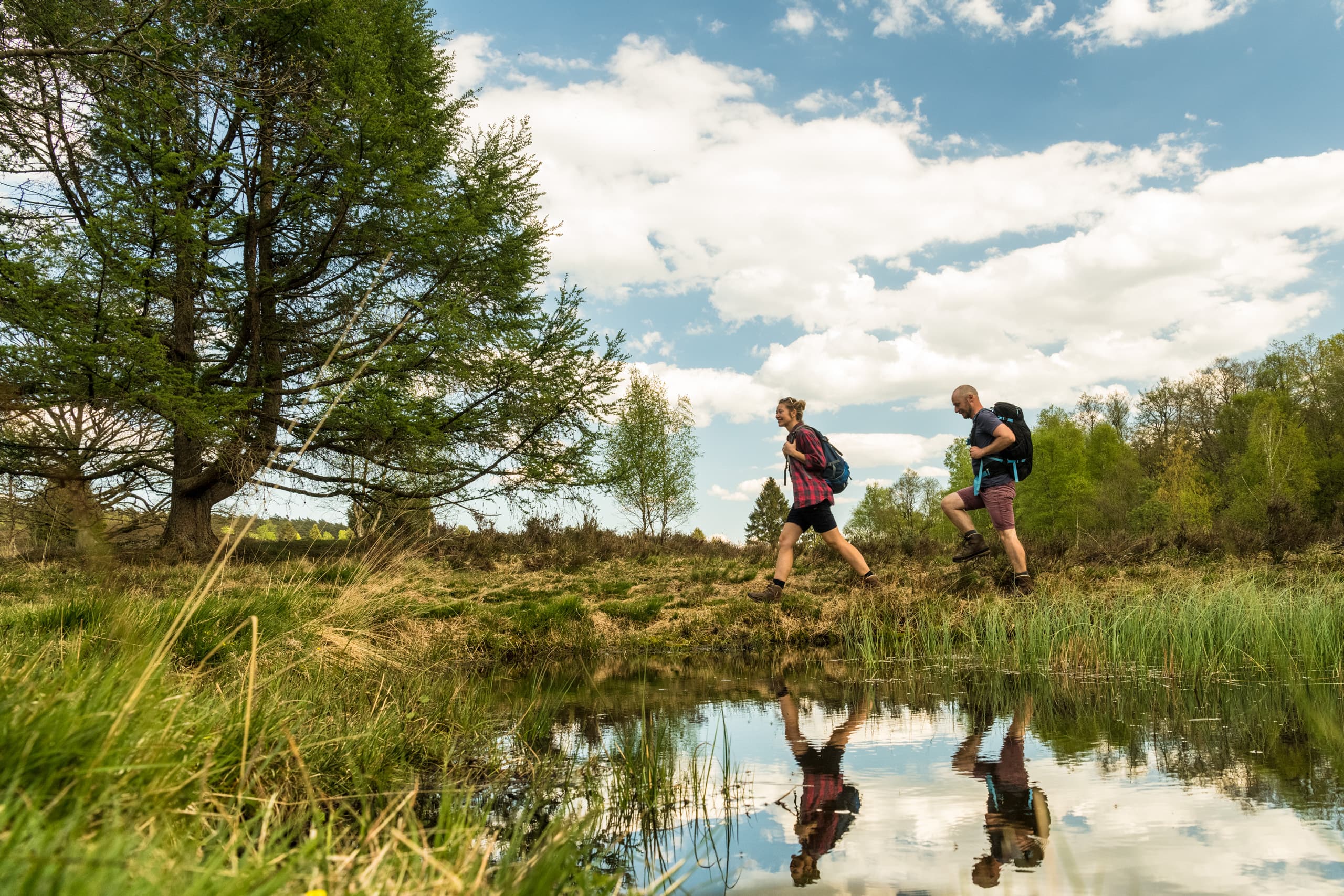 Wandern in der Lüneburger Heide