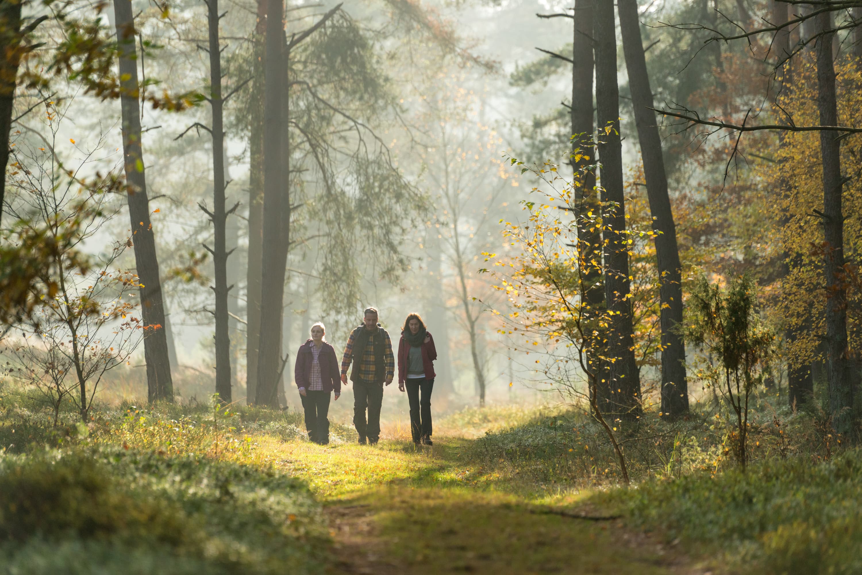 3003-Herbst-Lueneburger-Heide-Wald-Wanderer