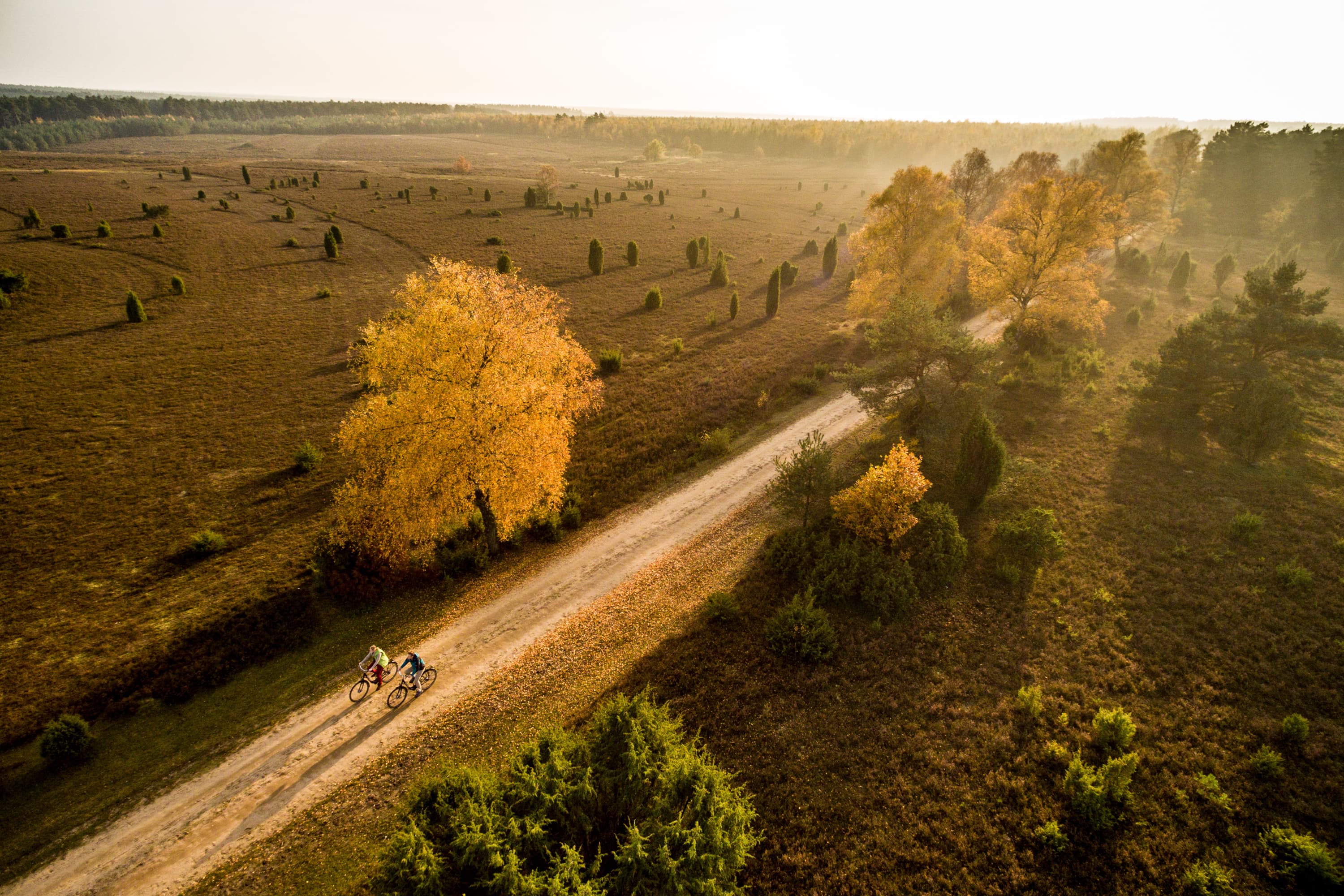 3005-Herbst-Lueneburger-Heide-Luftaufnahme-Tiefental