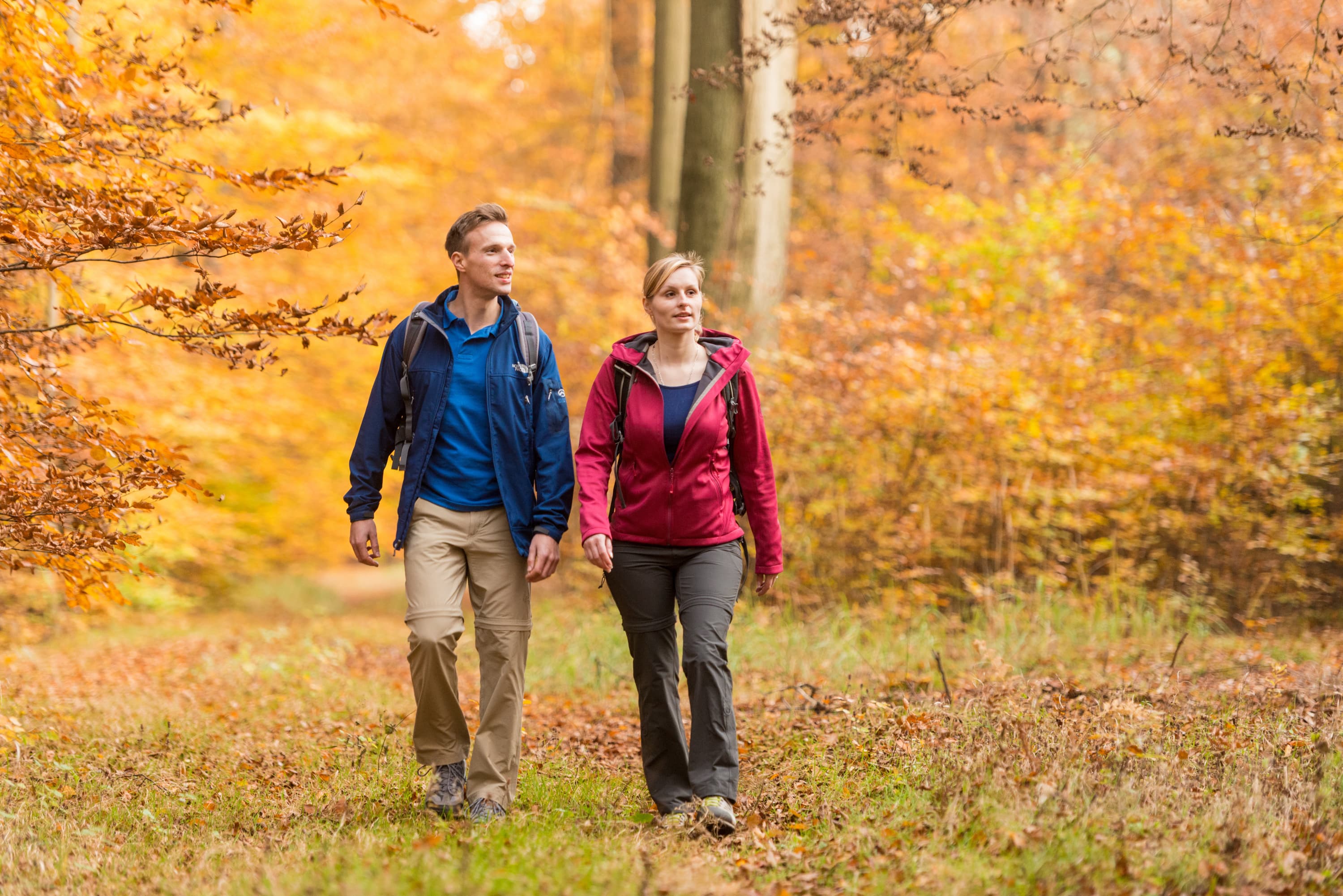 3007-Herbst-Lueneburger-Heide-Wanderer-Luesswald