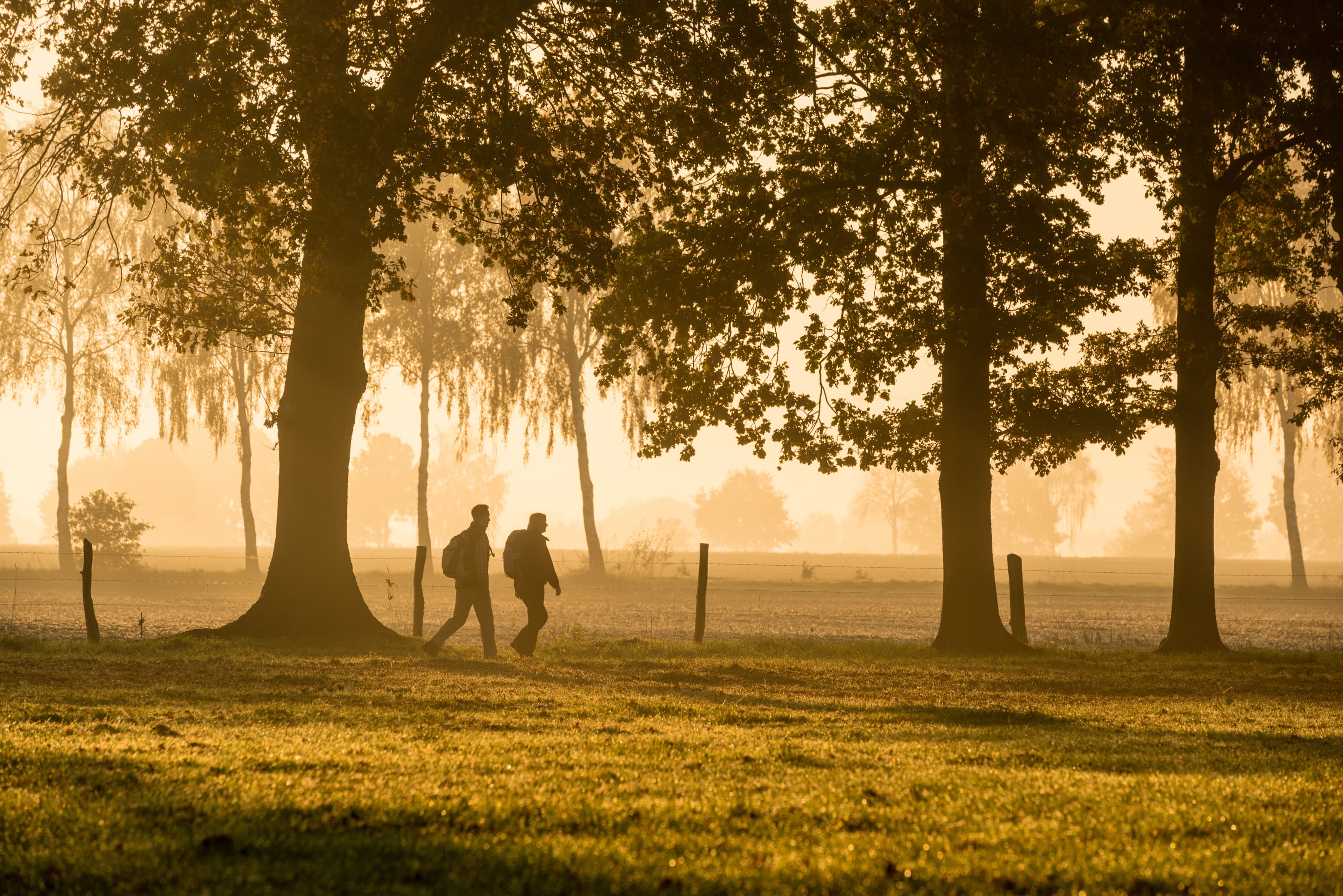 3008-Herbst-Lueneburger-Heide-Sonnenaufgang_Wanderer