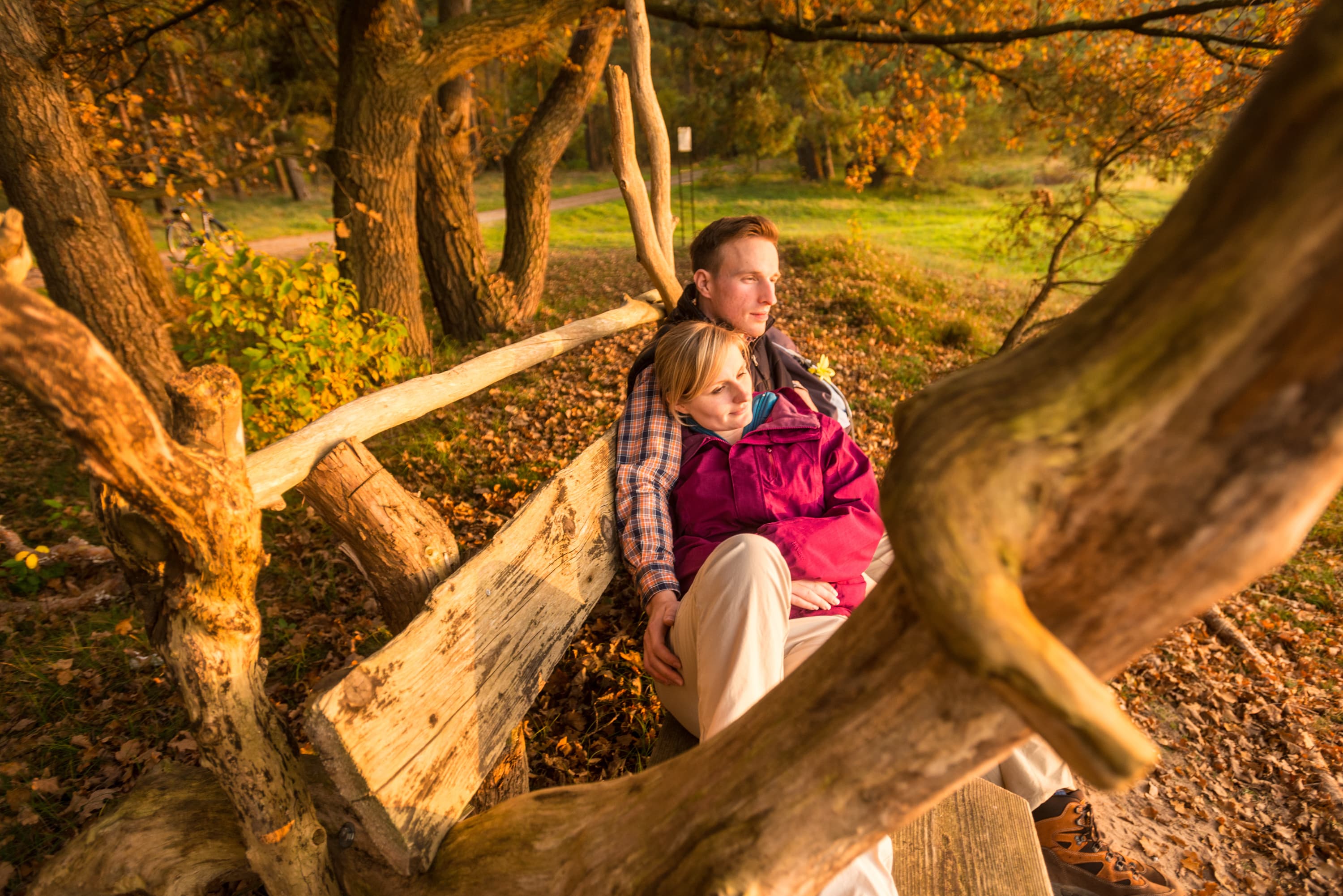 3012-Herbst-Lueneburger-Heide