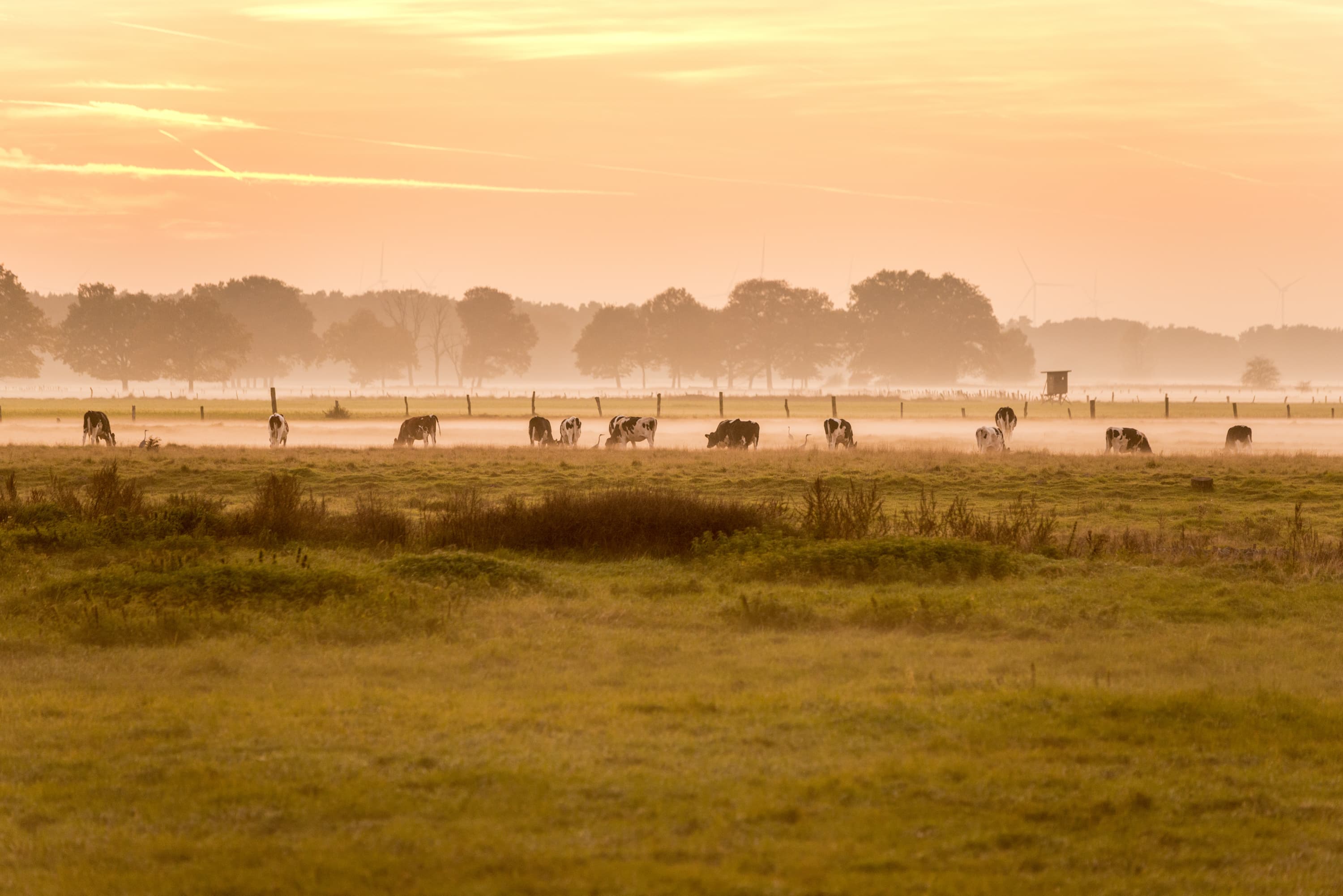 3013-Herbst-Lueneburger-Heide-Felder