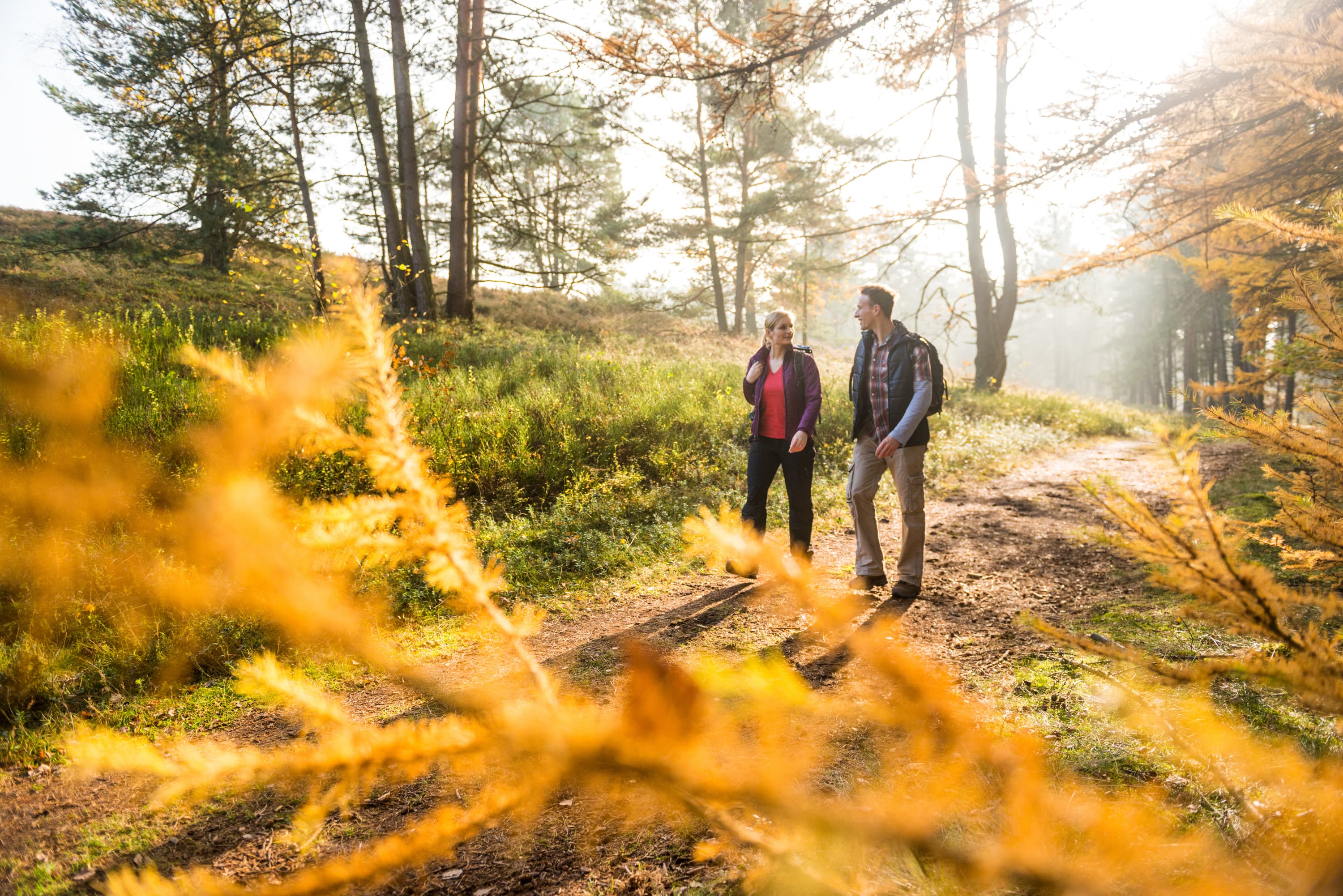 3016-Herbst-Lueneburger-Heide-Tiefental