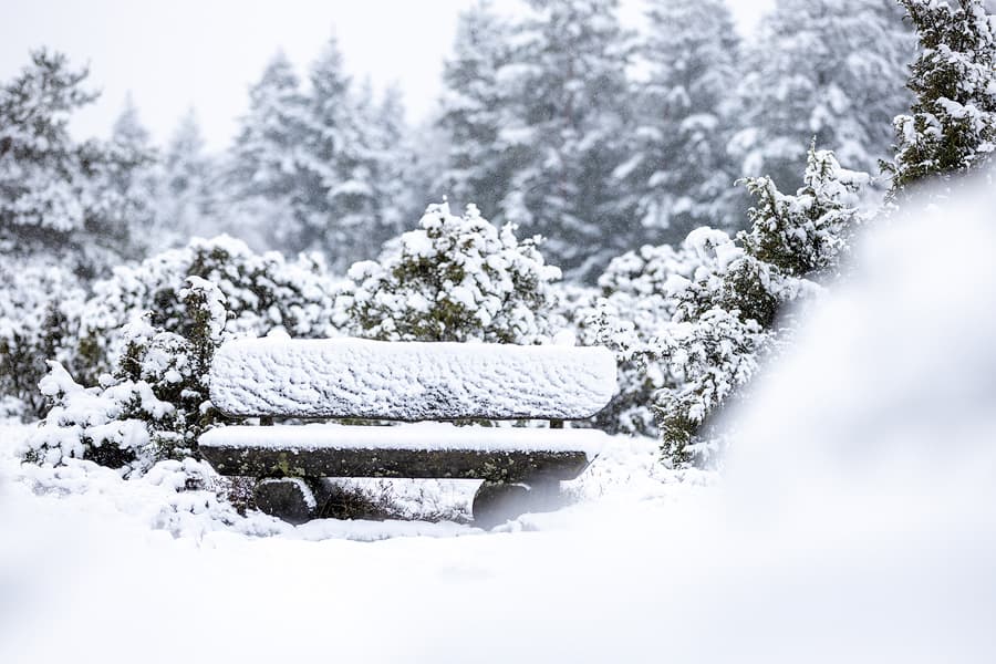 Winterwunderland Heide