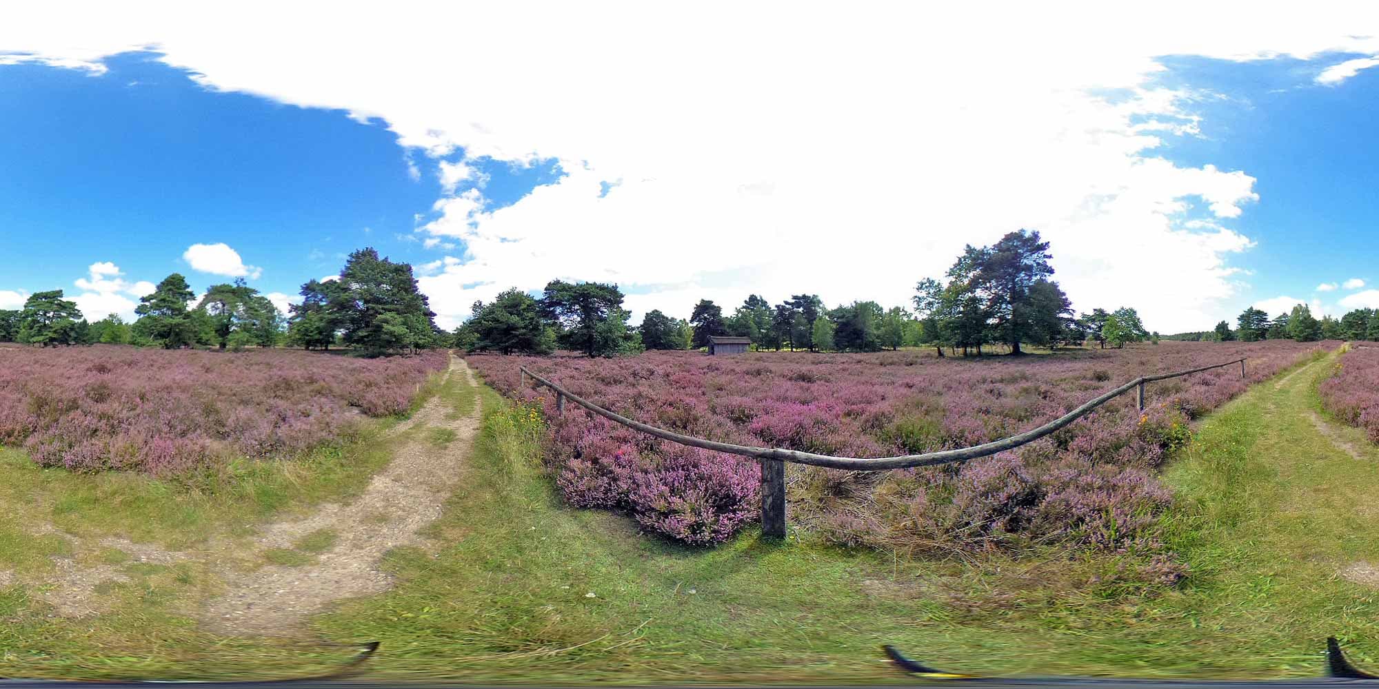 Behringer Heide in 360 Grad Ansicht