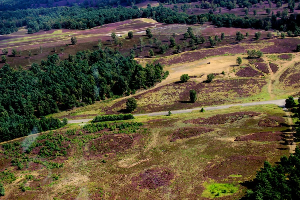 Fischbeker Heide aus dem Segelflugzeug