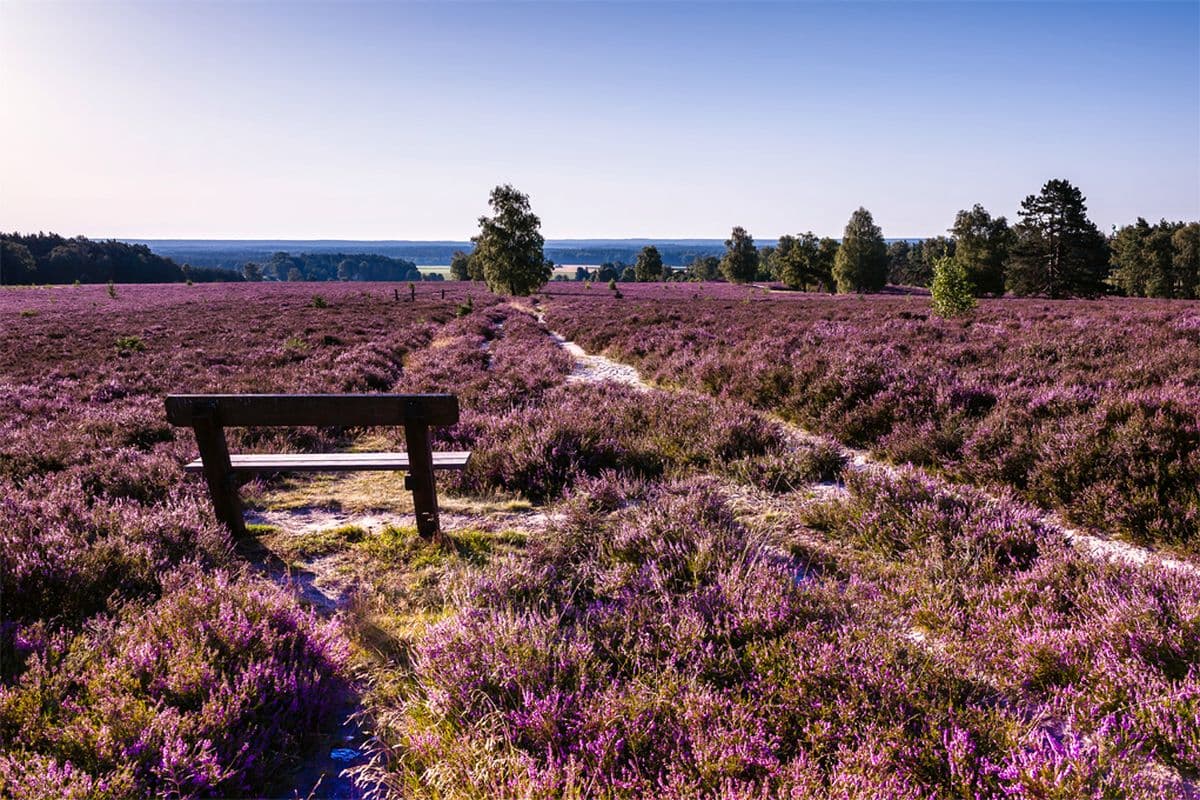 Panoramablicke am Wietzer Berg bei Müden