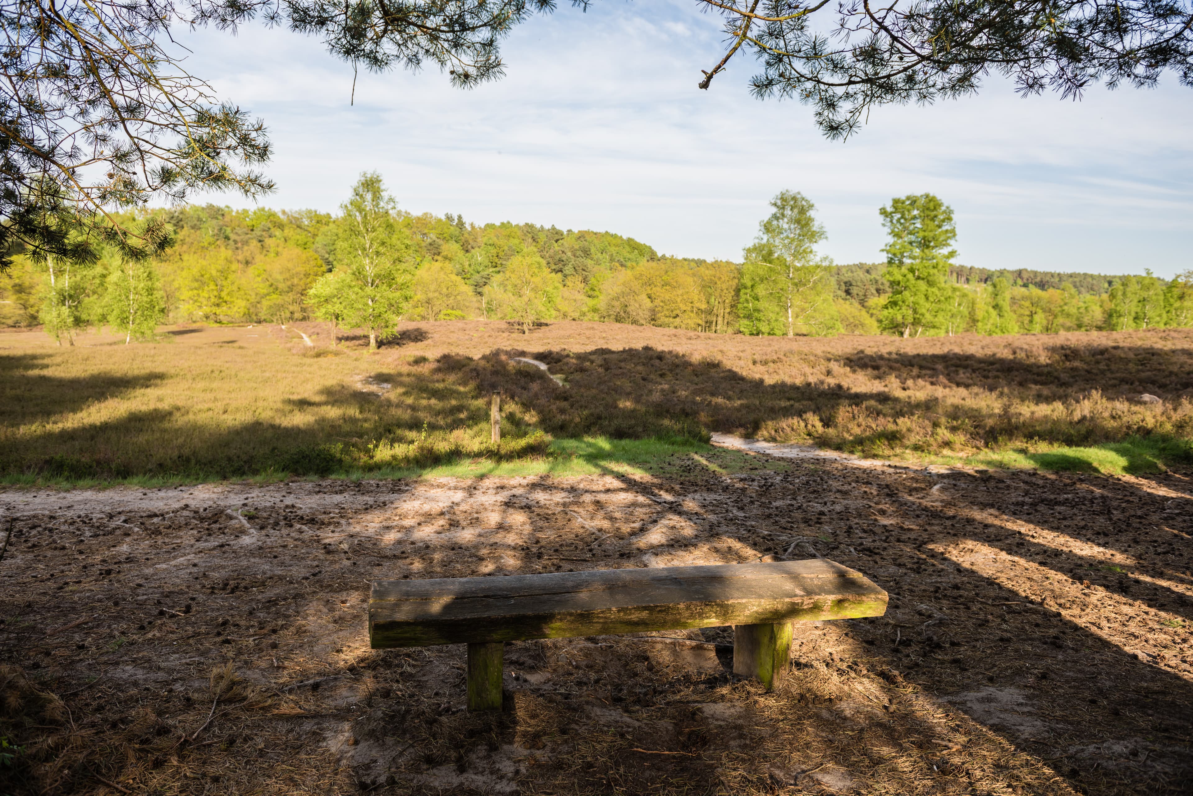 Poetry Slam in der Fischbeker Heide