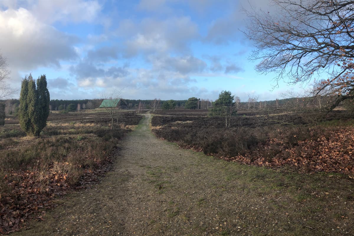 Neujahrswanderung Weseler Heide