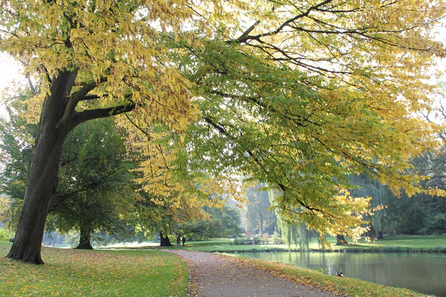 Schlosspark in Celle