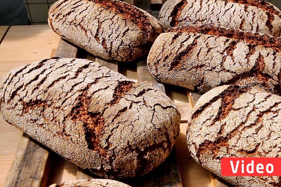 Heide kocht | Roggenschrotbrot, das typische Brot der Lüneburger Heide