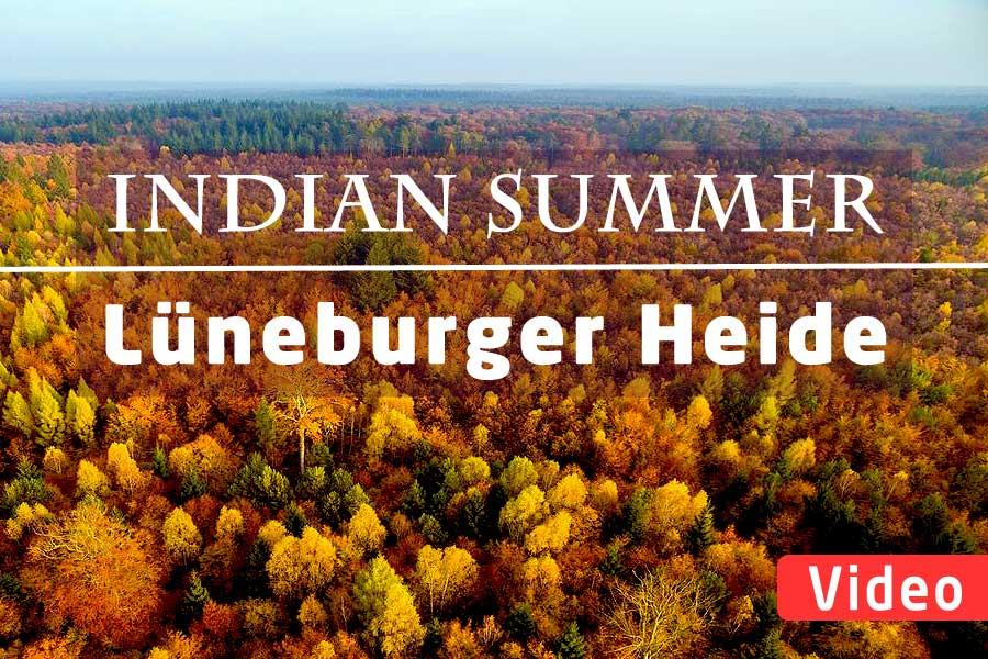 Indian Summer, Herbst in der Lüneburger Heide