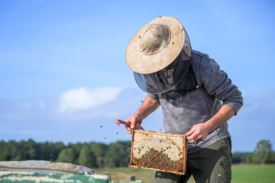 Der Weg des Honigs - Dokumentation