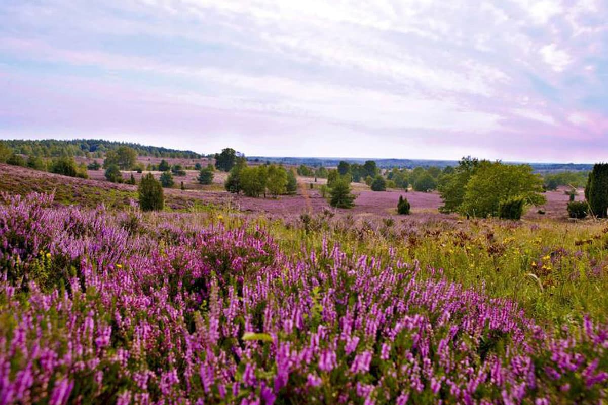 autofreies Naturschutzgebiet