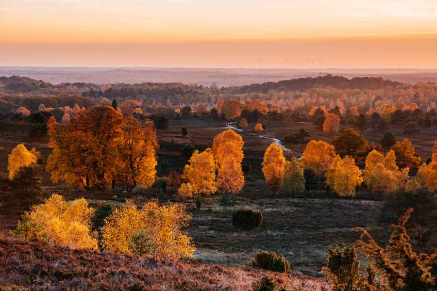 Herbst in der Lüneburger Heide