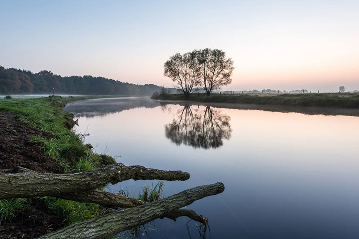 Herbst in der Lüneburger Heide