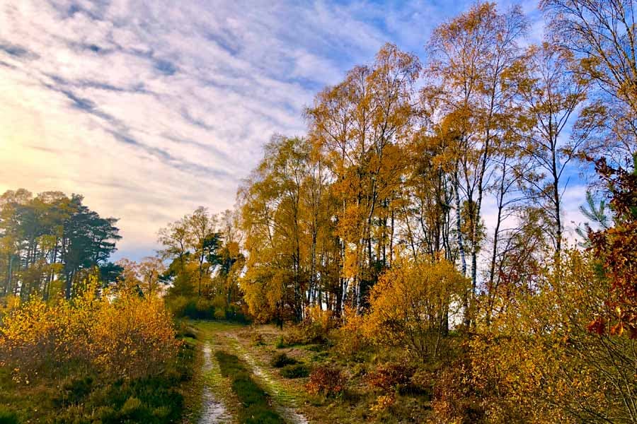 herbst wandern