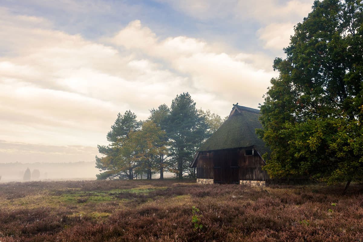 Mystische Herbststimmung in der Lüneburger Heide