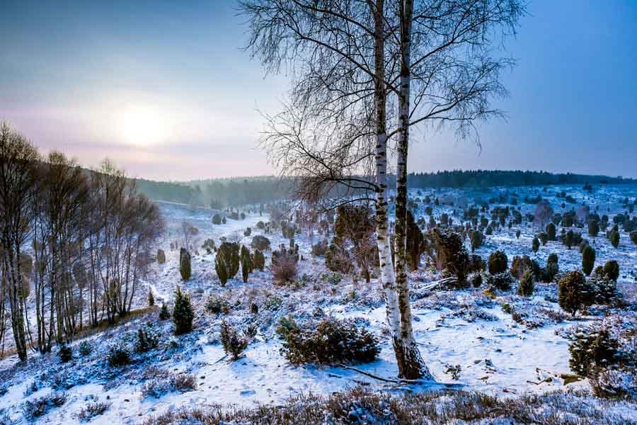 Winter in der Lüneburger Heide